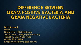 Difference between Gram positive bacteria amp Gram negative bacteria bacteria asrbnet arsnet neet [upl. by Klump366]