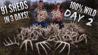 DAY 2 of our RECORD BREAKING SHED HUNT 35 in 1 day  Bowmar Bowhunting [upl. by Cavil866]