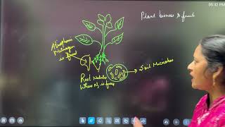 RevisionBIOLOGYExplanationBiofertilizers14Dec2024 [upl. by Annaujat637]