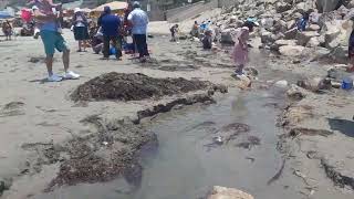 Seguimos recorriendo la Playa Pescadores en el distrito de Chorrillos Lima Peru [upl. by Acinaj]