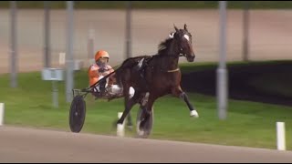 Zeudi Amg amp Rick Ebbinge vinner Prijs der Giganten på Victoria Parkbanan i Wolvega 2023 [upl. by Ardnosac]