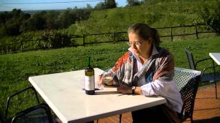 Video del Vino Marina Danieli  Pinot Grigio Fior di Pesco 2009 [upl. by Ammeg]