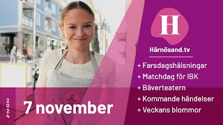 Härnösandtv  7 november 2024 [upl. by Gnivre]