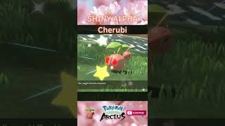 SHINY ALPHA CHERUBI shorts shinypokemonhunter pokemonlegendsarceus shinypokemon pokemon [upl. by Nate]