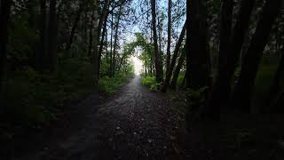 Harrisville State Park Michigan What an awesome spot campervan harrisvillestatepark [upl. by Esten]