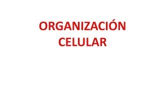 Organización celular [upl. by Narruc]