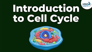 Introduction to Cell Cycle  Dont Memorise [upl. by Annamarie]