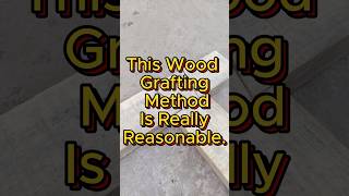 This wood joining method is really suitable for carpenters [upl. by Schwartz309]