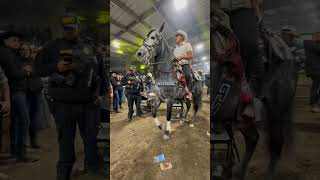 Caballos bailadores rodeorancheromexicanovideofypシ゚viral ￼ [upl. by Hplodur]