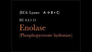 Enolase Enzymes in Glycolysis 34 【USMLE biochemistry】 [upl. by Ttirb]