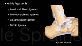 Top of the foot pain Treatment tips [upl. by Hnacogn]