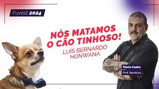 Obras Literárias Fuvest 2024 Nós Matamos o Cão Tinhoso [upl. by Tasia]