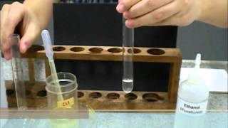 Ethanol emulsion test for fats [upl. by Thema]