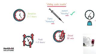 Types of Insulin and How It Works [upl. by Aneeg]