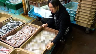 【11月のオススメ】意外と知らない。この魚 今が1番うまいです！ [upl. by Colman]