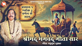 श्रीमद भगवद गीता सार  Bhagawad Geeta  गीता साधक संजीवनी  Pandit Chaturbhuj Shukla  Part 3 [upl. by Giguere]