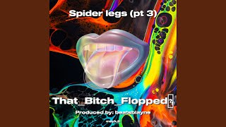 Spider legs pt 3 [upl. by Chalmer]