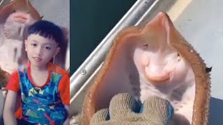 amazingfacts factsinhindi fish knowledge animals new thefact ytshorts fact trending [upl. by Esinahs]