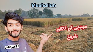 Mashallah Hmari Munji ki katai shuru 🥰 Village life vlog [upl. by Rbma369]