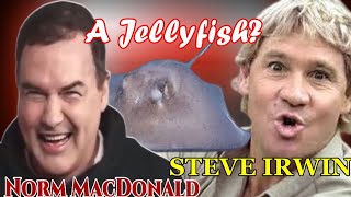 The Crocodile Hunter  Norm MacDonald along with Jon Stewart amp Nick Swardson  Reaction [upl. by Thurston]