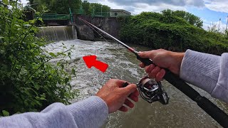 Du poissons dans cette CHUTE DEAU  Pêche du SANDRE et de la PERCHE en bordure de CANAL [upl. by Rebbecca]