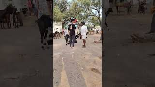 telugu చెవుడు Prank prankster prank prankvideo telugupranks pranks [upl. by Olin731]