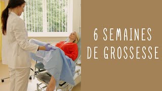 6 semaines de grossesse [upl. by Demaria459]