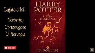 Harry Potter e la Pietra Filosofale audiolibro narrato da Francesco Pannofino  capitolo 14 [upl. by Lanford]