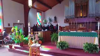 St Thomas More Catholic Church  Sunday November 17 1000am Sunday Mass [upl. by Akenet]