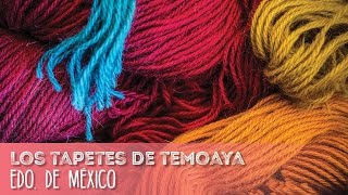 Temoaya Estado de México [upl. by Ruperta]