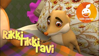 RIKKI TIKKI TAVI Episode 2  cartoons for kids  stories for children  Jungle book by R Kipling [upl. by Archibaldo431]