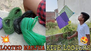 Kite amp Manjha Looting  kite Looters  kite catching [upl. by Crockett]