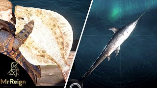 Assassins Creed Valhalla BIG FLATFISH amp BIG MACKEREL LOCATIONS  How to Get the Mythical Swordfish [upl. by Creath]