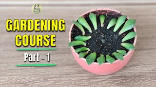 COMPLETE GARDENING COURSE – PART 1  GARDENING FOR BEGINNERS  LEARN GARDENING [upl. by Ailem]