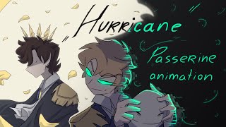 Hurricane II Passerine animation II [upl. by Ellehsyt570]