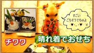 晴れ着で手作り犬用おせち♥チワワ♥ためらいながら完食～Chihuahua eats New Year dishes in a kimono～ [upl. by Christabelle]