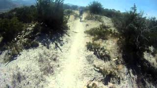 Joe Romagno mountain biking the 50 yr trailMP4 [upl. by Nwahsiek]