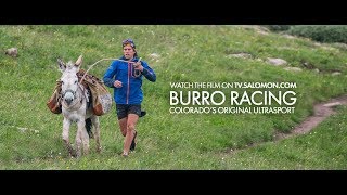 Burro  Salomon TV [upl. by Colan]