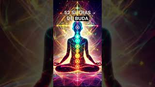 LOS 53 SUTRAS DE BUDA SUTRA 28 🙌🏻 buda shorts [upl. by Langsdon]