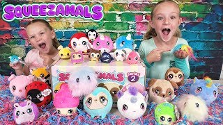 Opening Surprise Mystery Box Full of Slow Rise Squeezamals Squishy Toys [upl. by Stockwell]