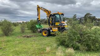 African Boxthorn Removal [upl. by Tegirb]