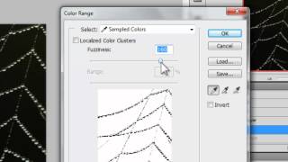 Adobe Photoshop  How to Remove Backgrounds with the Color Range Tool [upl. by Tnemelc]