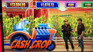 Cash CropWhich Casino Did Better  Indigo Sky  Grand Lake casino [upl. by Davidde]