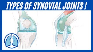 Understanding Synovial Joints Types Function and Importance [upl. by Teador]