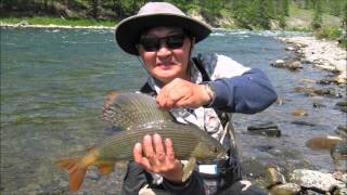 Mongolian Fly Fishing AssociationFly Fishing TengisShishged rivers Darkhad ValleyJuly 2013 [upl. by Honna]