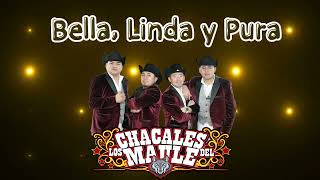 Los Chacales del Maule  Bella Linda y Pura Audio [upl. by Akemaj200]