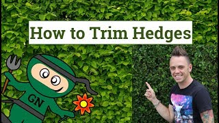 How to cut amp trim hedges the ultimate guide for perfect garden hedges [upl. by Leirej329]