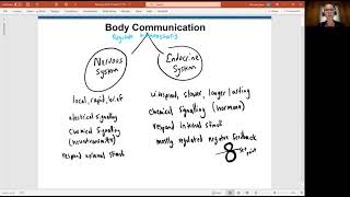 Biology 2020 Chapter 17 The Endocrine System Body amp Cell Communication Video 1 [upl. by Olegnalehcim]