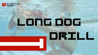 Freestyle  Long Dog Drill catch up and quotswimquot [upl. by Tra]