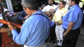 Irene Diaz con Violin y Tololoche 101010avi [upl. by Carita]